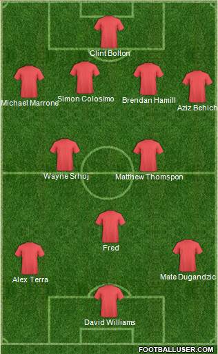 New South Wales Institute of Sport football formation