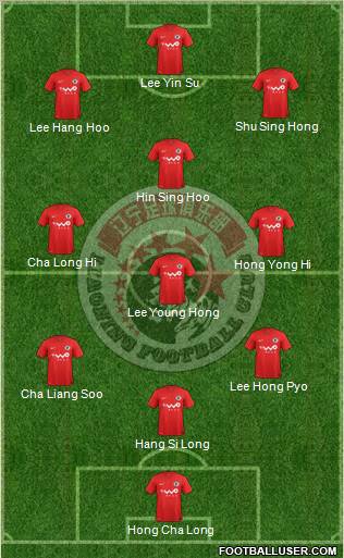Liaoning FC football formation