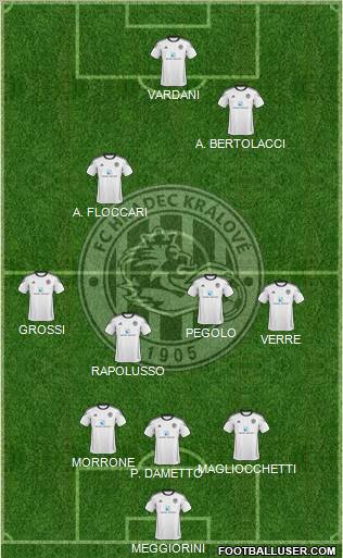 Hradec Kralove football formation