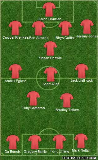 New South Wales Institute of Sport football formation