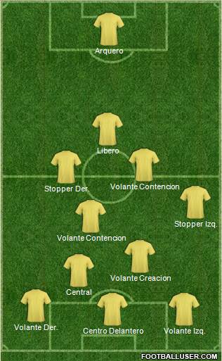 World Cup 2014 Team 4-5-1 football formation