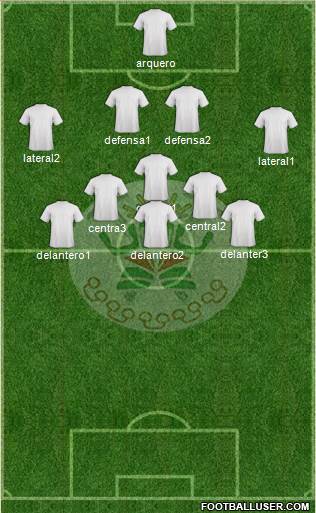 U Nacional de Ucayali football formation