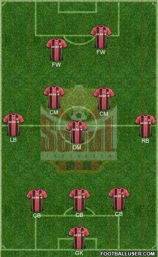 FC Seoul 3-5-2 football formation