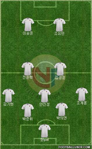 Norway 5-3-2 football formation