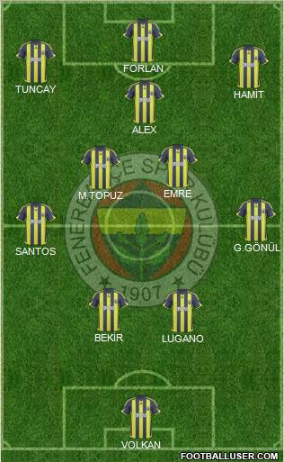 Fenerbahçe SK Formation 2010