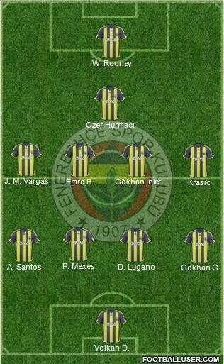 Fenerbahçe SK Formation 2010
