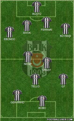 Besiktas JK Formation 2010