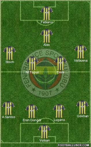 Fenerbahçe SK Formation 2010