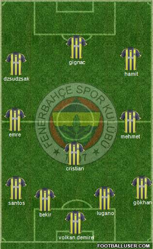 Fenerbahçe SK Formation 2010