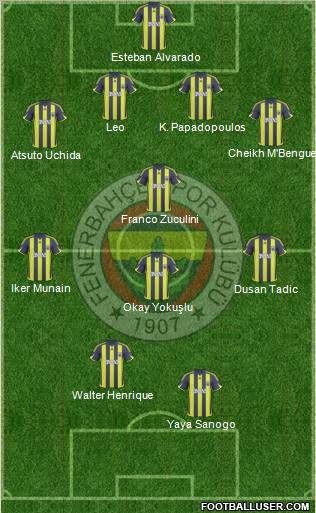 Fenerbahçe SK Formation 2010