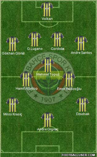 Fenerbahçe SK Formation 2010