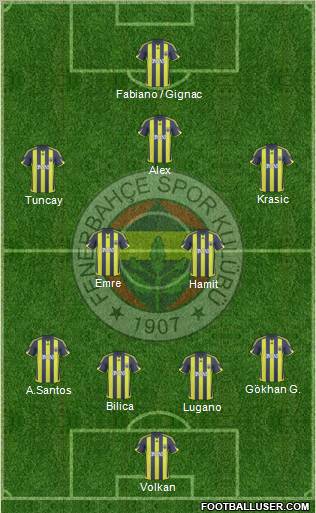 Fenerbahçe SK Formation 2010