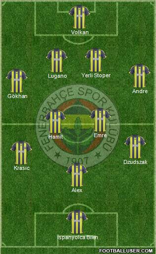 Fenerbahçe SK Formation 2010
