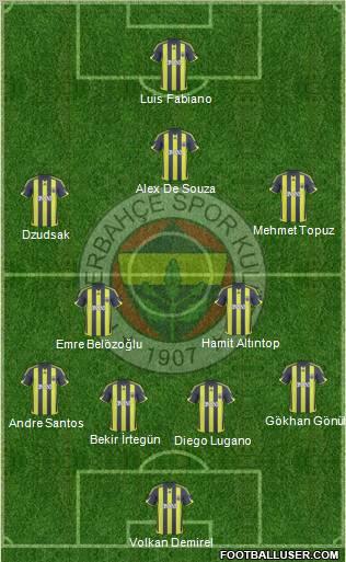 Fenerbahçe SK Formation 2010