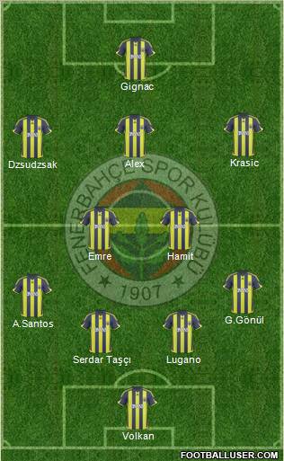 Fenerbahçe SK Formation 2010