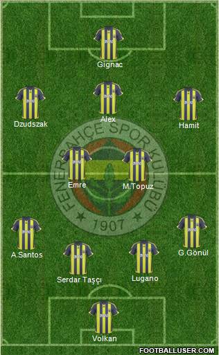 Fenerbahçe SK Formation 2010