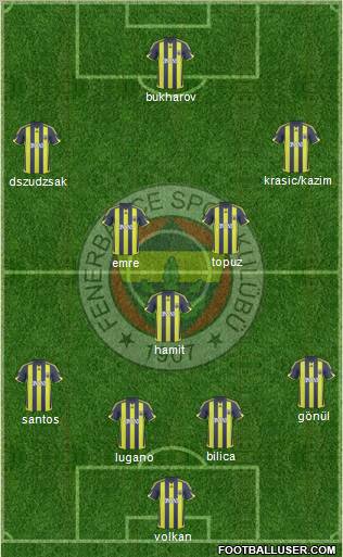 Fenerbahçe SK Formation 2010