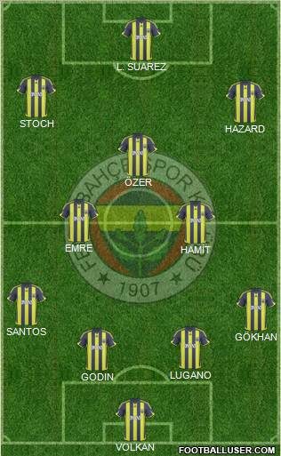 Fenerbahçe SK Formation 2010