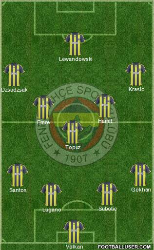 Fenerbahçe SK Formation 2010