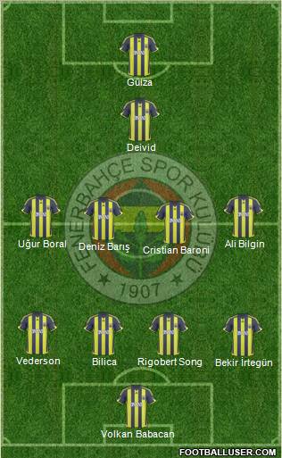 Fenerbahçe SK Formation 2010