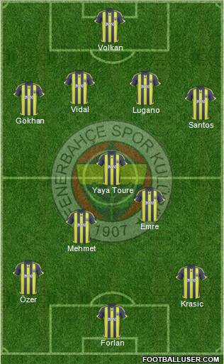 Fenerbahçe SK Formation 2010