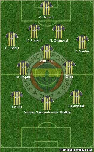 Fenerbahçe SK Formation 2010