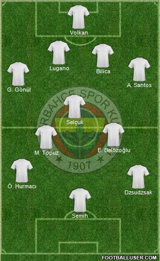 Fenerbahçe SK Formation 2010