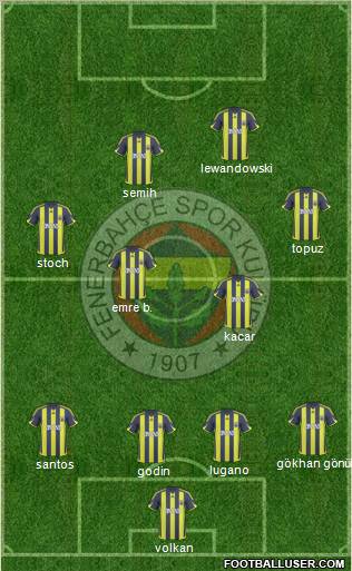Fenerbahçe SK Formation 2010