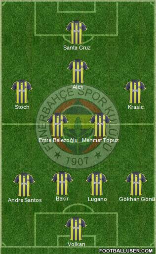 Fenerbahçe SK Formation 2010