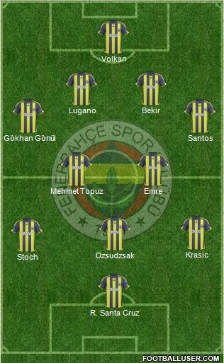 Fenerbahçe SK Formation 2010