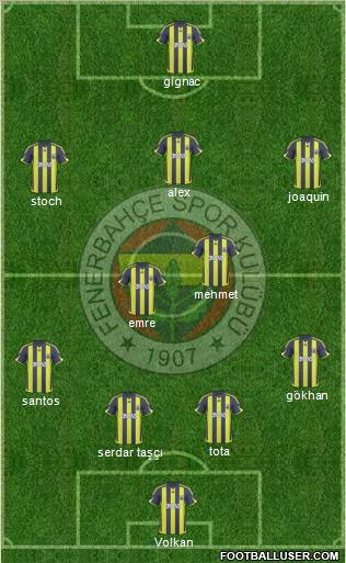Fenerbahçe SK Formation 2010