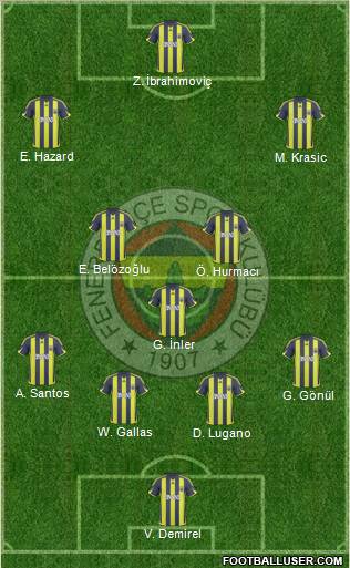 Fenerbahçe SK Formation 2010