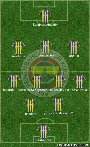 Fenerbahçe SK Formation 2010