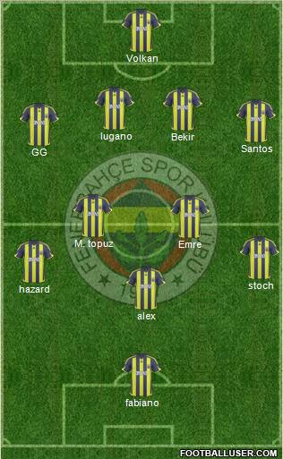Fenerbahçe SK Formation 2010