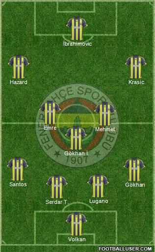 Fenerbahçe SK Formation 2010