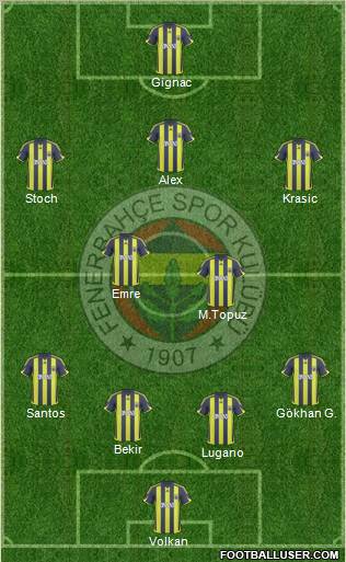 Fenerbahçe SK Formation 2010