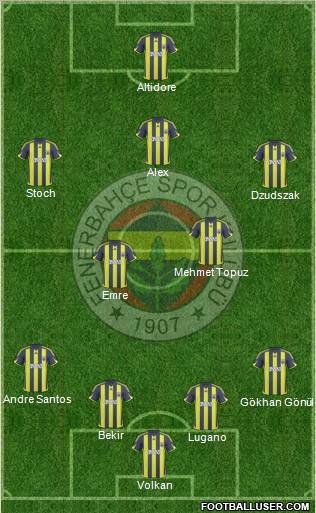 Fenerbahçe SK Formation 2010