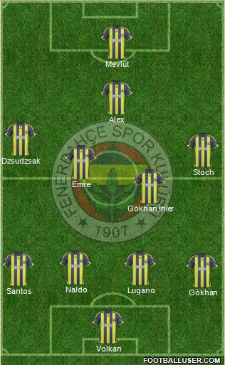 Fenerbahçe SK Formation 2010