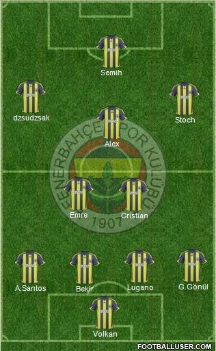 Fenerbahçe SK Formation 2010