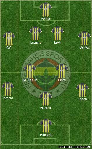 Fenerbahçe SK Formation 2010