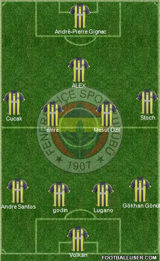 Fenerbahçe SK Formation 2010