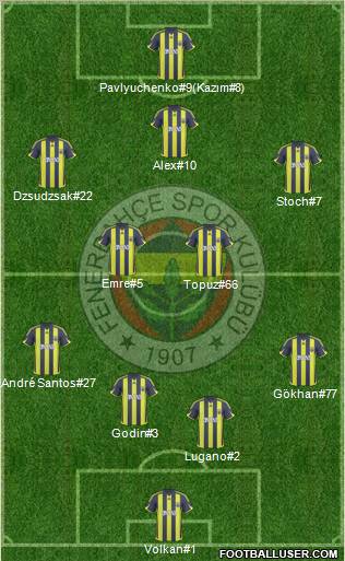 Fenerbahçe SK Formation 2010