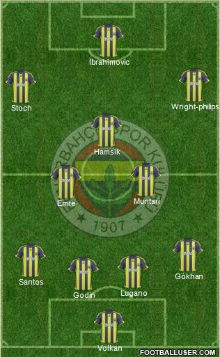 Fenerbahçe SK Formation 2010