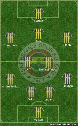 Fenerbahçe SK Formation 2010