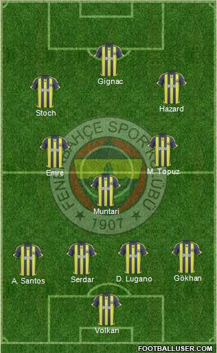 Fenerbahçe SK Formation 2010
