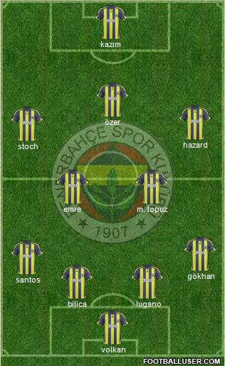 Fenerbahçe SK Formation 2010