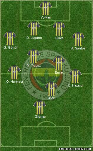 Fenerbahçe SK Formation 2010