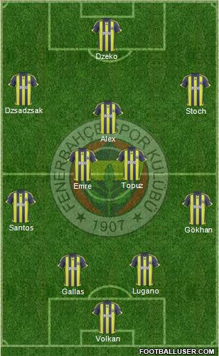 Fenerbahçe SK Formation 2010