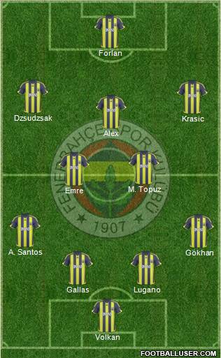 Fenerbahçe SK Formation 2010