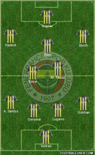 Fenerbahçe SK Formation 2010